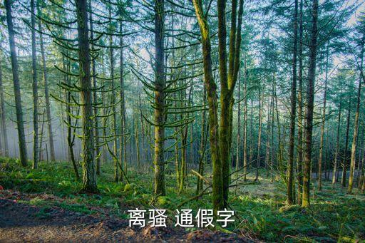 離騷 通假字