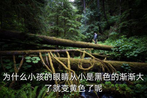 虹膜是什么，虹膜檢測(cè)是什么什么原理為什么很多人說虹膜檢測(cè)是騙人