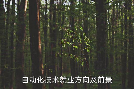 電氣自動化去電廠工作好嗎,電廠電氣自動化崗位