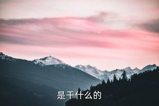 是干什么的