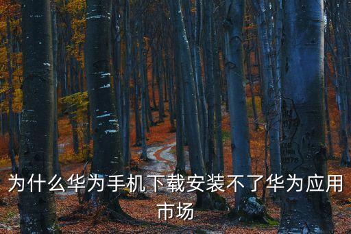 華為應用市場下載，手機軟件網(wǎng)