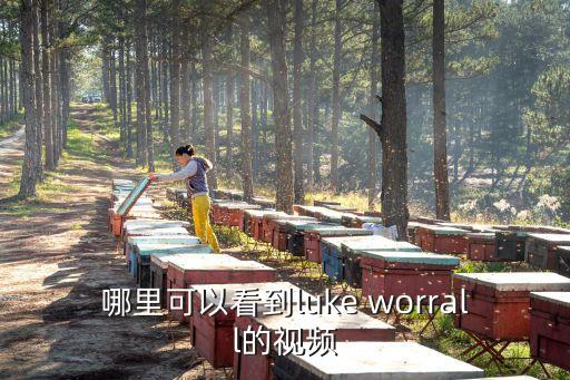 哪里可以看到luke worrall的視頻