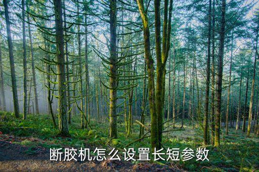 斷膠機(jī)怎么設(shè)置長(zhǎng)短參數(shù)
