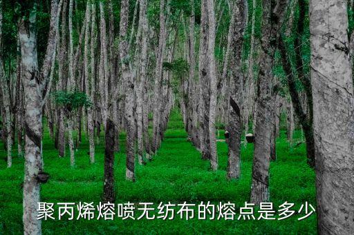 pp熔點(diǎn)，聚丙烯熔噴無紡布的熔點(diǎn)是多少