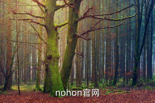 nohon官網(wǎng)