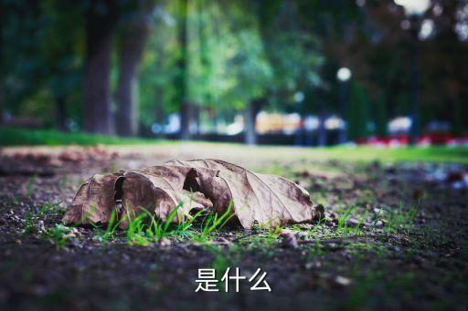 什么是數(shù)據(jù) cnnic,什么是數(shù)據(jù),什么是數(shù)據(jù)?