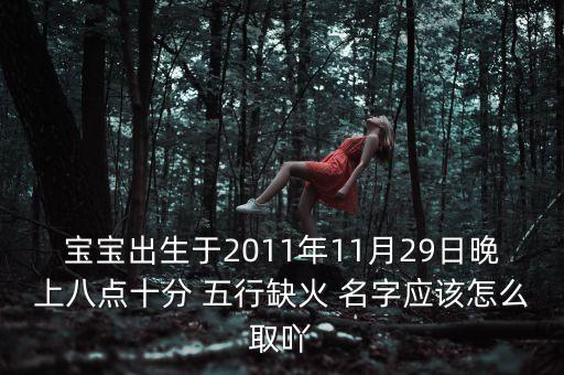 陸煜，寶寶出生于2011年11月29日晚上八點(diǎn)十分 五行缺火 名字應(yīng)該怎么取吖