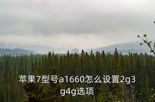 蘋果7移動數(shù)據(jù)怎么限制,蘋果手機(jī)怎么解除網(wǎng)絡(luò)限制?