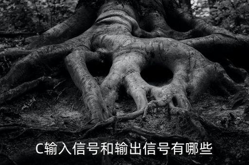 C輸入信號(hào)和輸出信號(hào)有哪些