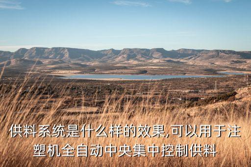 自動化料倉供料設備,農(nóng)場自動飼養(yǎng)設備