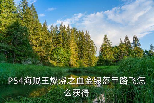 PS4海賊王燃燒之血金銀盔甲路飛怎么獲得