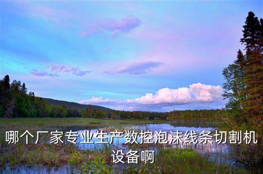 哪個(gè)廠(chǎng)家專(zhuān)業(yè)生產(chǎn)數(shù)控泡沫線(xiàn)條切割機(jī) 設(shè)備啊
