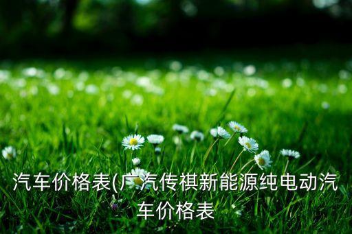 汽車價格表(廣汽傳祺新能源純電動汽車價格表