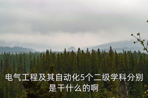 電氣自動化與數(shù)學(xué)物理,電氣工程及其自動化專業(yè)是什么?