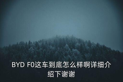 小牛f0，BYD F0這車到底怎么樣啊詳細(xì)介紹下謝謝
