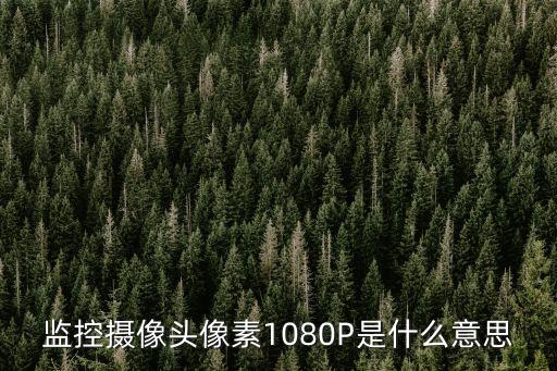 1080監(jiān)控線數(shù)據(jù)傳輸,監(jiān)控數(shù)據(jù)傳輸模式