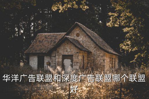 億網(wǎng)廣告聯(lián)盟，華洋廣告聯(lián)盟和深度廣告聯(lián)盟哪個聯(lián)盟好