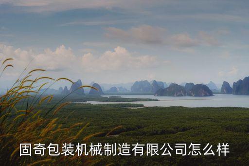 國產(chǎn)自動化包裝機公司,國諾自動包裝機
