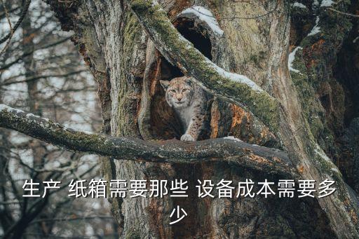 紙箱生產(chǎn)自動(dòng)化粘箱全套設(shè)備