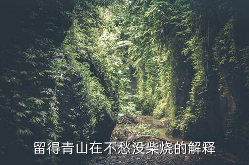 不愁沒(méi)柴燒，留得青山在不愁沒(méi)柴燒的解釋