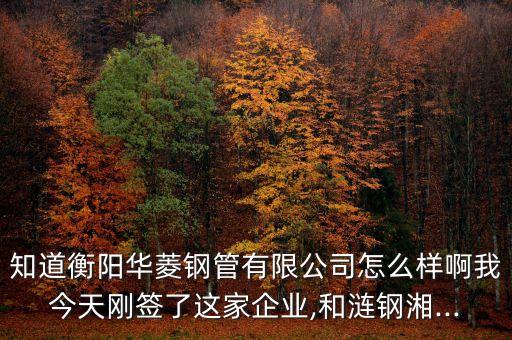 中國華菱電氣自動化怎么樣,甘肅呂林燕電氣自動化