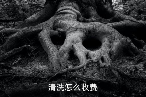 清洗怎么收費