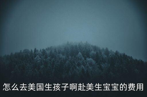 怎么去美國生孩子啊赴美生寶寶的費(fèi)用