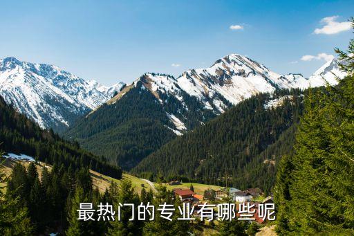 最熱門的專業(yè)有哪些呢