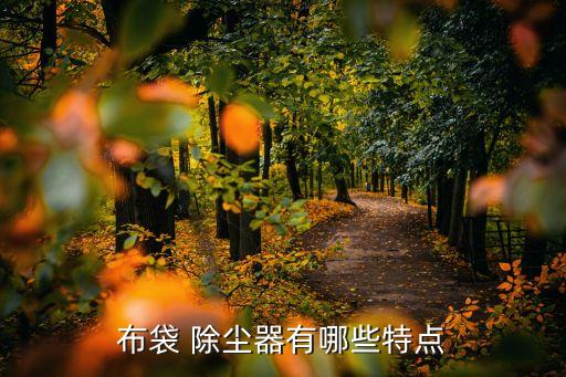 布袋 除塵器有哪些特點
