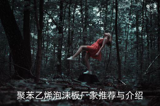 聚苯乙烯泡沫板廠(chǎng)家推薦與介紹
