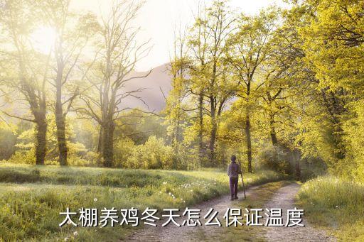大棚養(yǎng)雞冬天怎么保證溫度