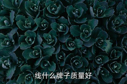 線(xiàn)什么牌子質(zhì)量好