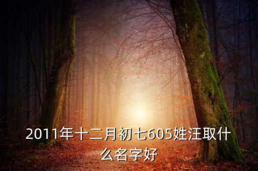 2011年十二月初七605姓汪取什么名字好