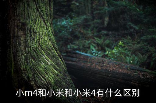 小m4和小米和小米4有什么區(qū)別
