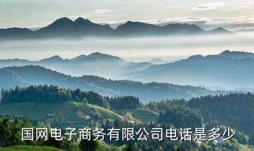  國(guó)網(wǎng)電子商務(wù)有限公司電話(huà)是多少