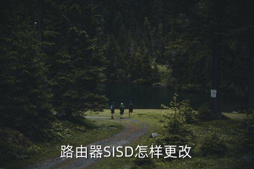 sisd，路由器SISD怎樣更改