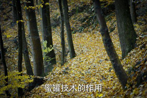 蜜罐技術(shù)，什么是虛擬蜜罐