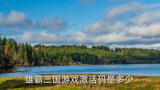 雄霸三國游戲激活碼是多少