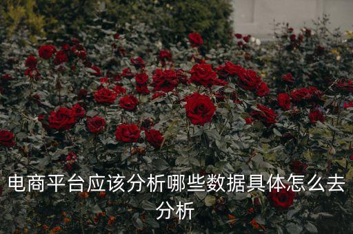 2013 電商 數(shù)據(jù),電商數(shù)據(jù)分析要掌握哪些數(shù)據(jù)指標(biāo)?