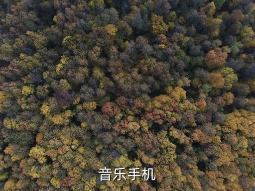 音樂手機(jī)