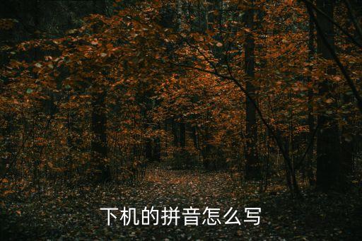 下機(jī)的拼音怎么寫