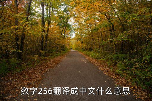 256中文，數(shù)字256翻譯成中文什么意思
