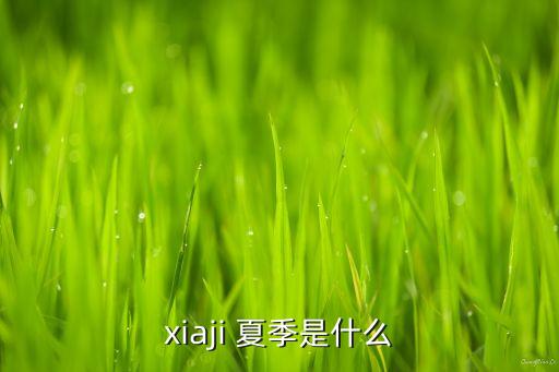 xiaji，黠羈怎么讀我不知道怎么寫揞音