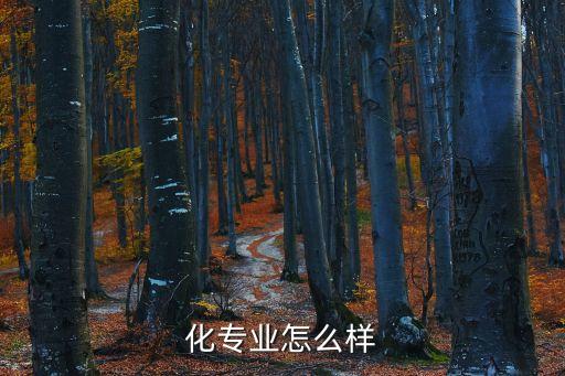 化專業(yè)怎么樣