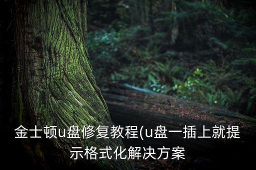 金士頓u盤修復(fù)教程(u盤一插上就提示格式化解決方案