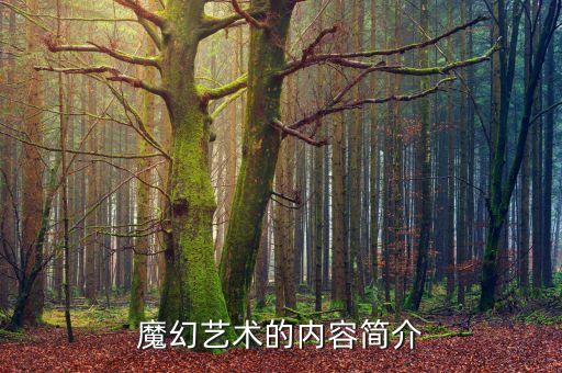 魔幻藝術(shù)的內(nèi)容簡介