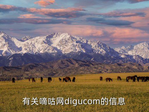 有關(guān)嘀咕網(wǎng)digucom的信息