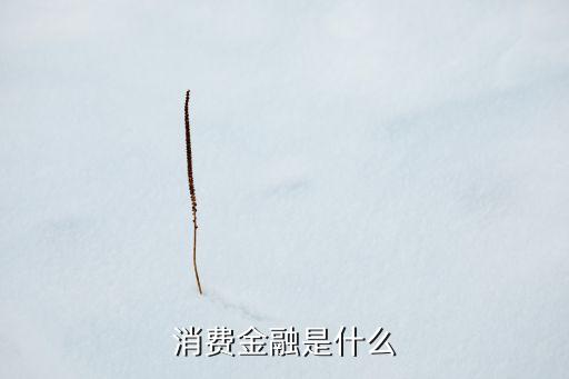 消費(fèi)金融，現(xiàn)在國內(nèi)有哪些消費(fèi)金融貸款公司