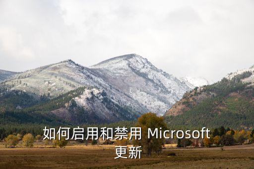 如何啟用和禁用 Microsoft 更新