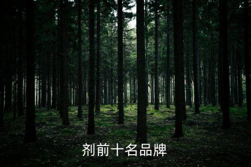 劑前十名品牌